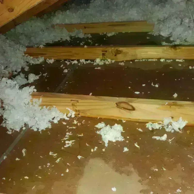 Attic Water Damage in Pennington, NJ