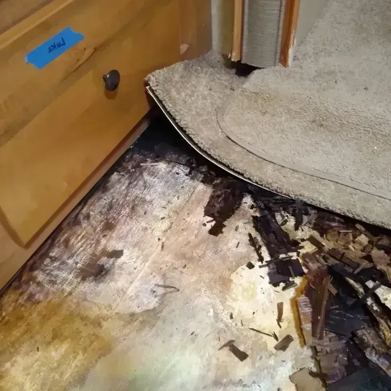 Wood Floor Water Damage in Pennington, NJ